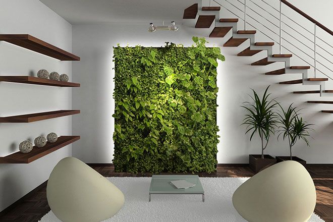 free_standing_vertical_garden_green_feature_wall