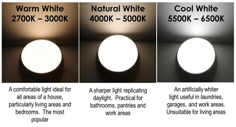 White Light Colour Spectrum cool daylight vs warm white vs natural white