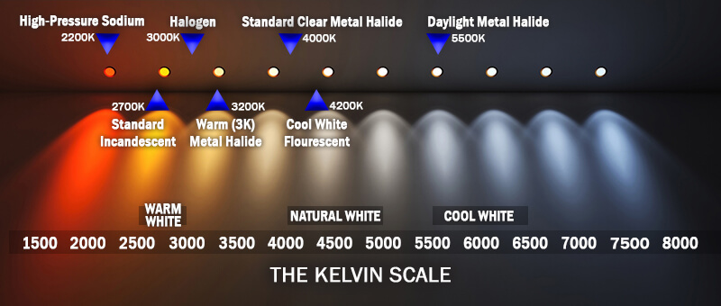 Kelvin Light Scale understanding kelvin in lighting
